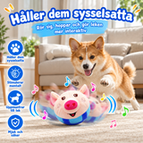 PiggyToy hundleksak - produktbild